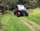 aventure en quad dans la foret