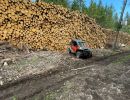 foret vosges rando quad